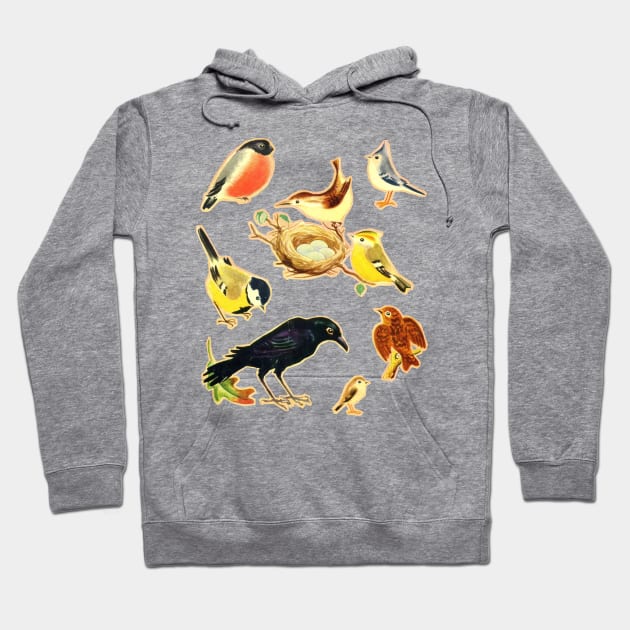 Vintage Styled Birds Illustration Design Hoodie by DankFutura